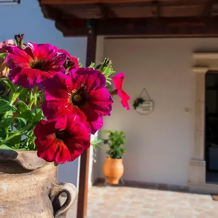 Holiday home Vothinoi Luxury *